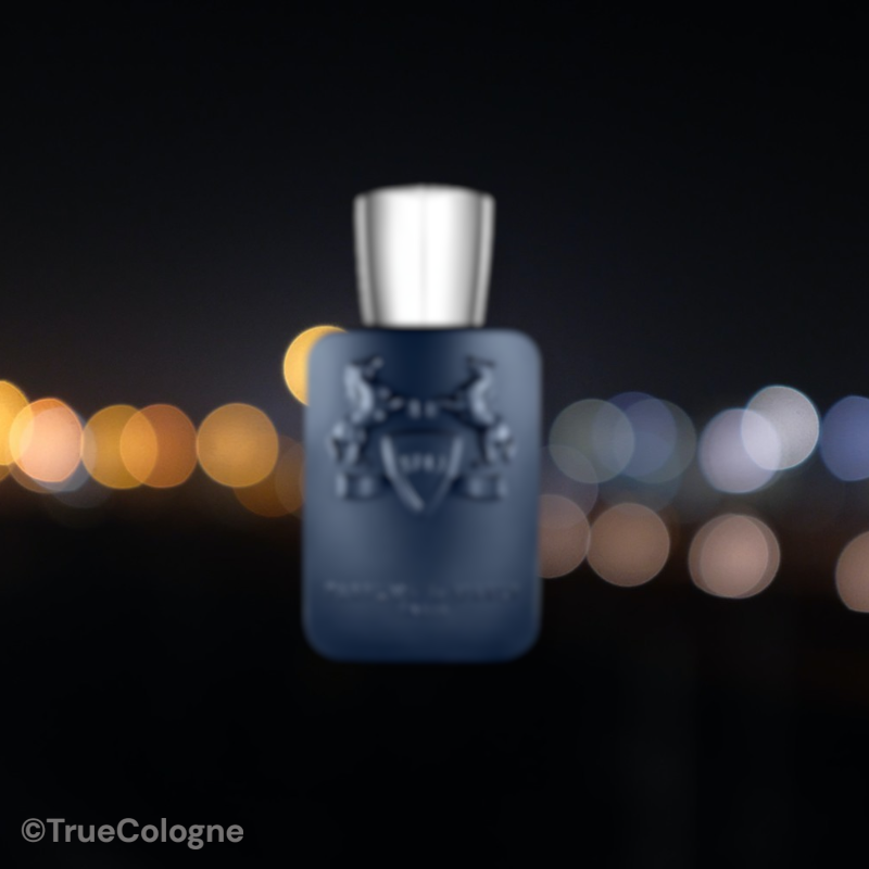 Layton EDP